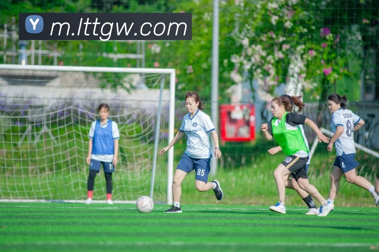 多媒体互动体验